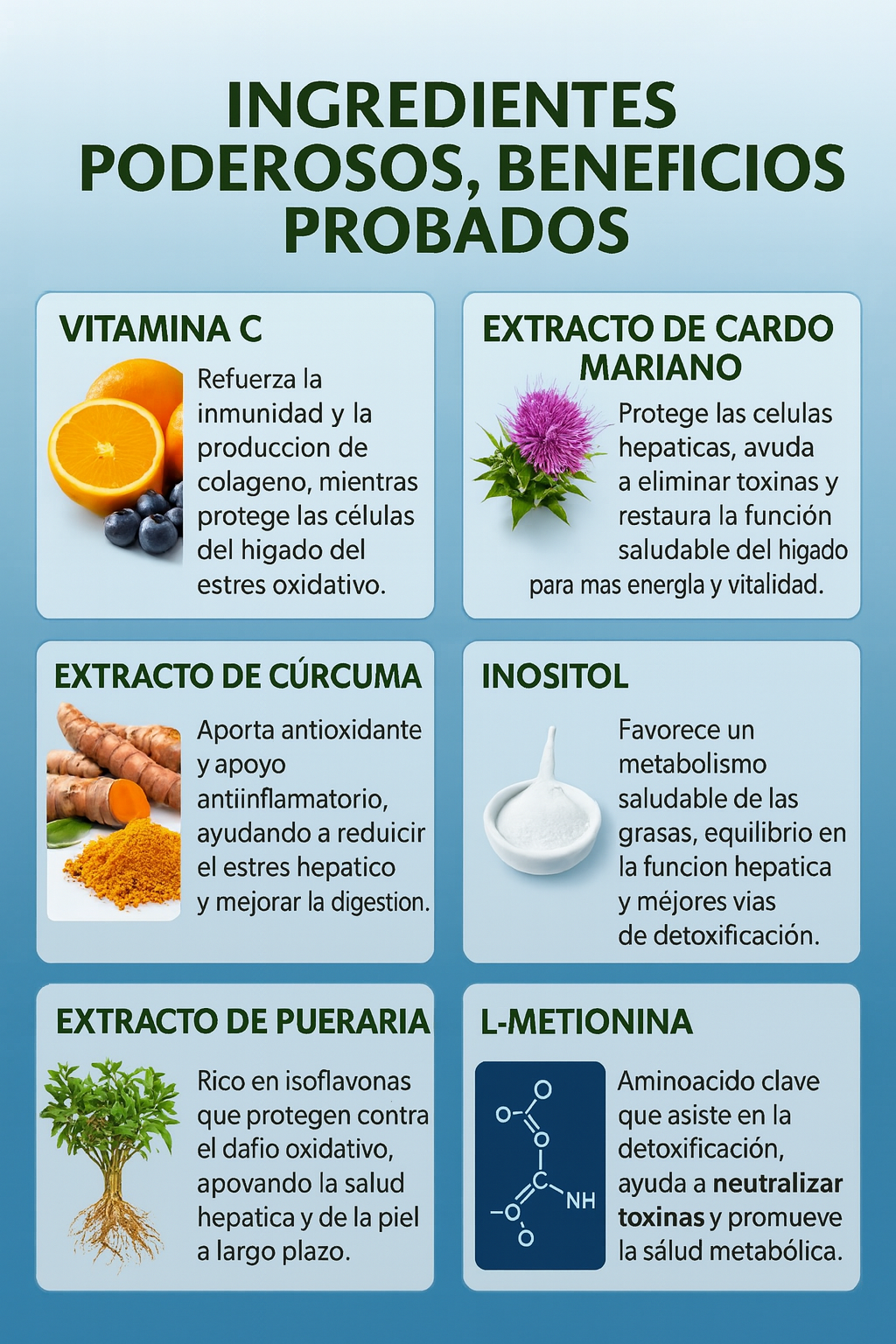 OXYFUEL Cardo Mariano – Detox Hepático & Limpieza de Colon